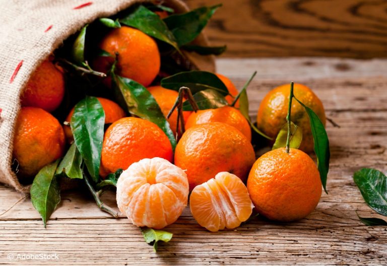 Les bienfaits de la clémentine sur notre corps durant l'hiver
