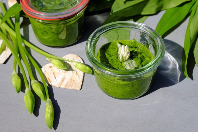 Pesto d’ail des ours une recette de cuisine bio, facile, rapide et végane
