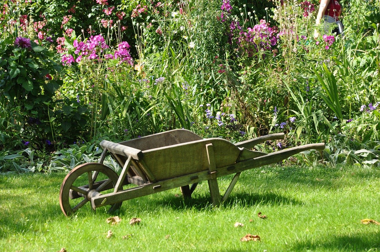 potager-biologique